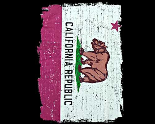 California Flag Bear